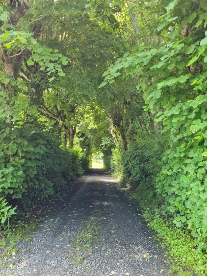 Mandeville-en-BessinDomaine De La Cour Vautier住宿加早餐旅馆 外观 照片