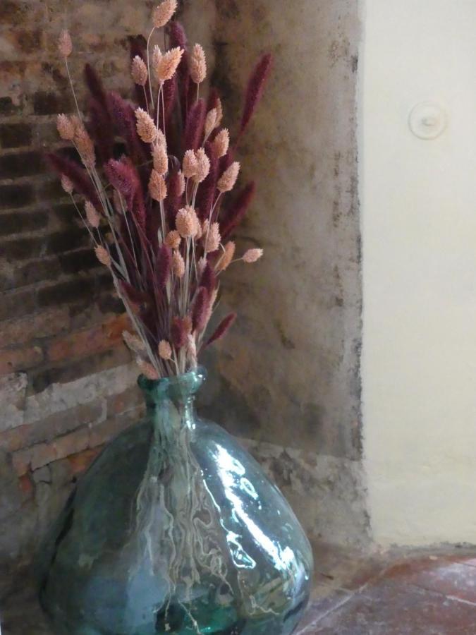 Mandeville-en-BessinDomaine De La Cour Vautier住宿加早餐旅馆 外观 照片